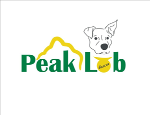 Logo Design by Asif Khan for this project | Design #3474355