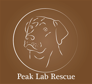 Logo Design by chathu89 for this project | Design #3472086