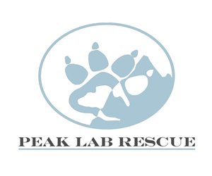 Logo Design by kelfs