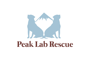 Logo Design by mynardpontillo