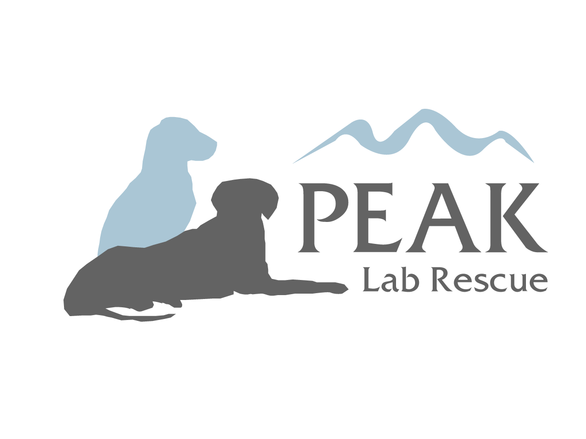 Logo Design by ChristineDeye for this project | Design #3473087