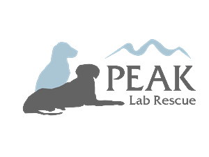 Logo Design by ChristineDeye