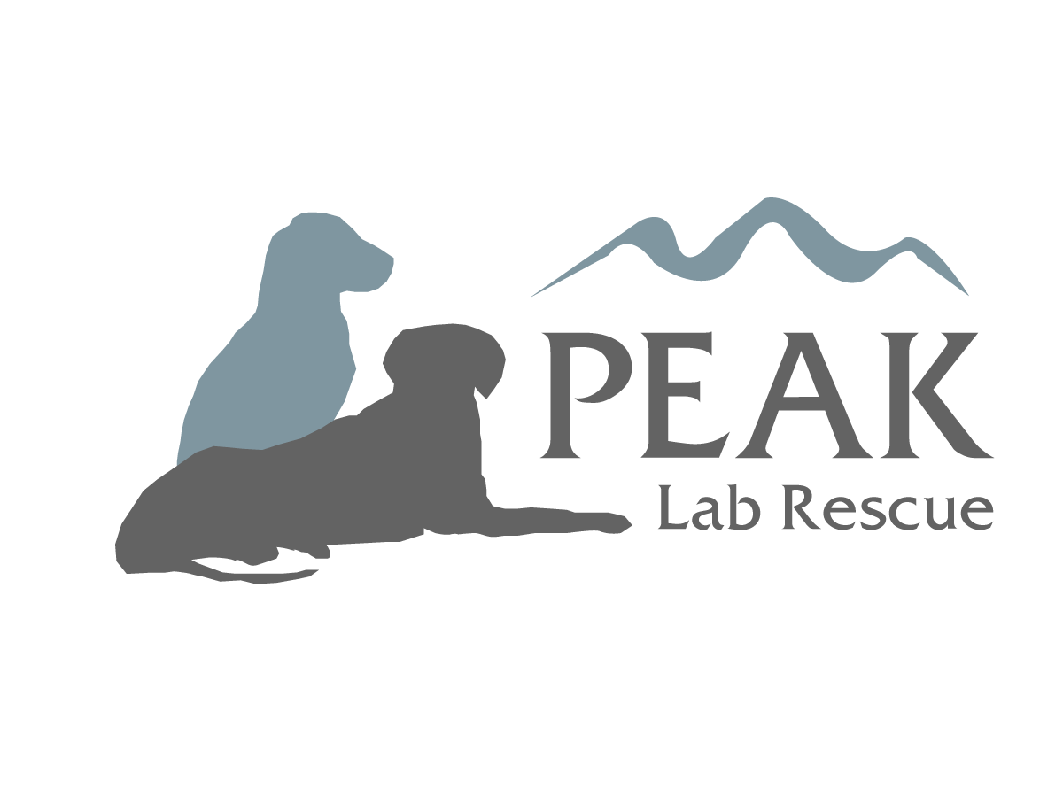 Diseño de Logo por ChristineDeye para este proyecto | Diseño #3477979