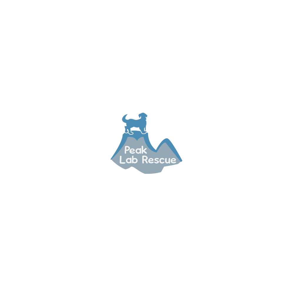 Diseño de Logo por SorinBD para este proyecto | Diseño #3469138