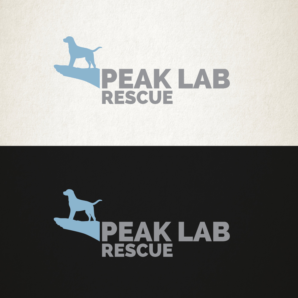 Logo Design by Bakus for this project | Design #3472875
