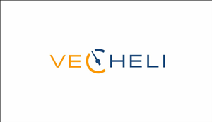 Diseño de Logo por vesnusca para Vecheli LLC | Diseño: #3491085