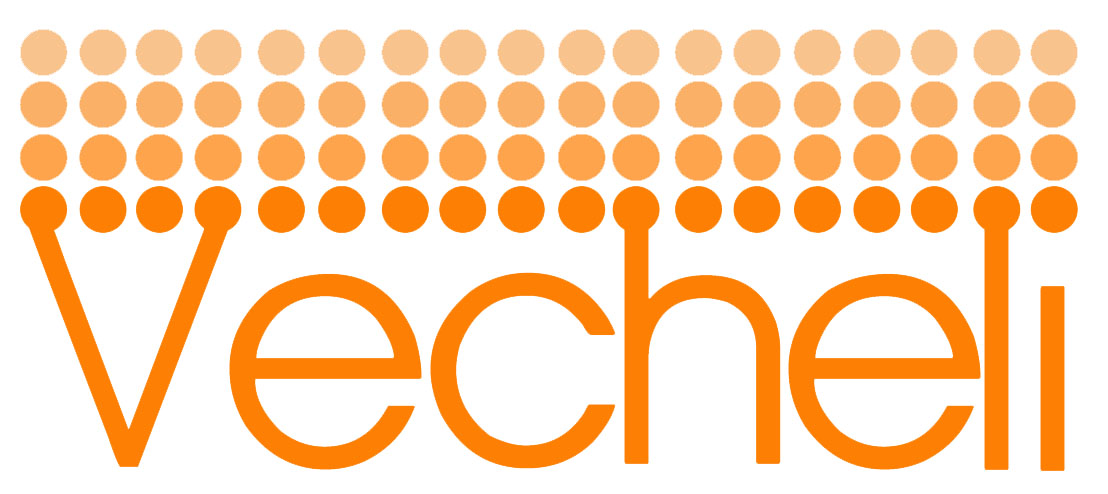 Diseño de Logo por logos2gogo para Vecheli LLC | Diseño #3478126