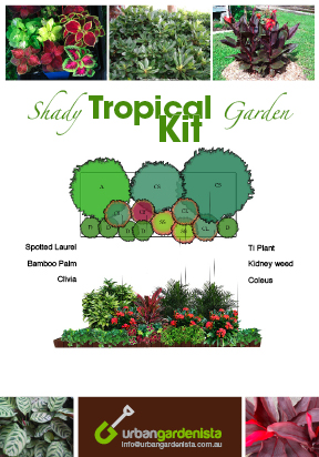 Brochure Design by TNT Printing & Design