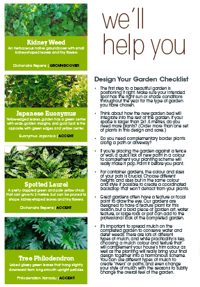 Brochure Design by TNT Printing & Design for this project | Design: #909823