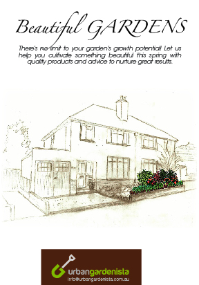 Brochure Design by TNT Printing & Design for this project | Design: #909825