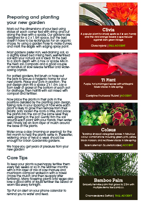 Brochure Design by TNT Printing & Design for this project | Design: #909826