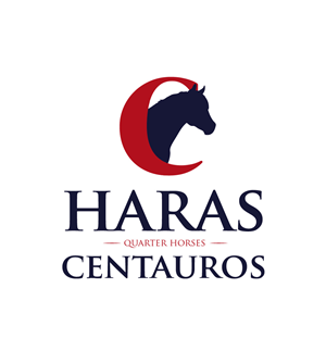 Logo-Design von Marta Sobczak  für dieses Projekt | Design: #3536728