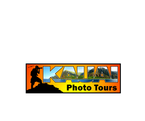 Logo Design by dharlan