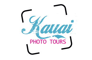 Logo Design by Sam for this project | Design: #3491704