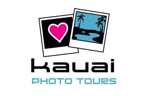 Logo Design by Sam for this project | Design: #3491812