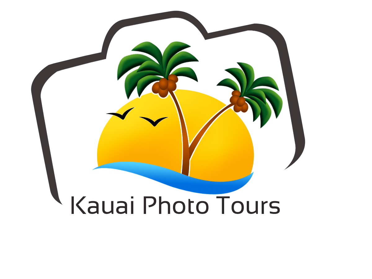 Logo Design by khalidbannour for this project | Design #3484184