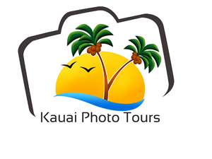 Logo Design by khalidbannour