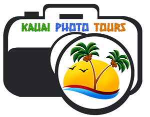 Logo-Design von khalidbannour für dieses Projekt | Design: #3513836