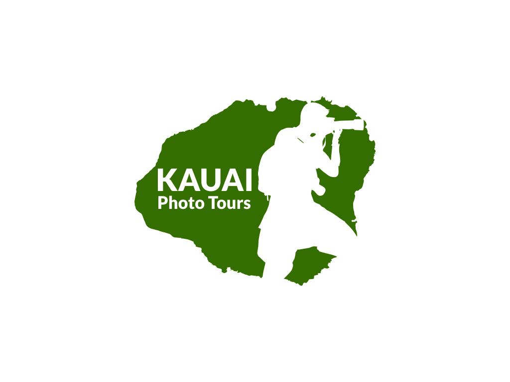 Logo Design by kmsdesigns for this project | Design #3547348