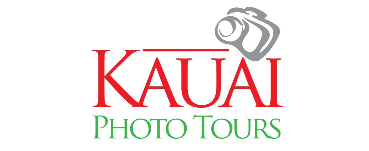 Logo Design by tigerfox for this project | Design #3503241