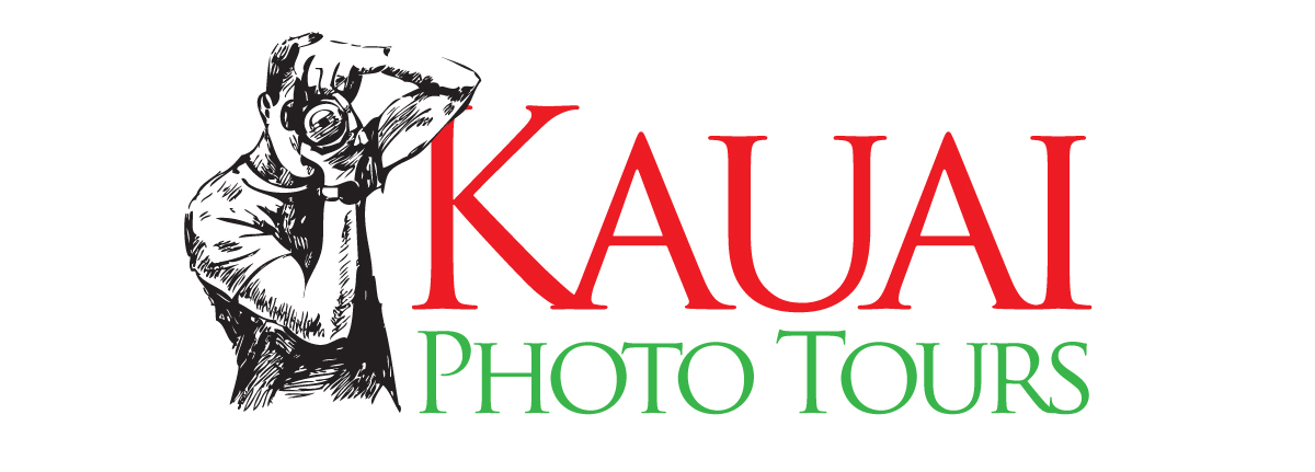 Logo Design by tigerfox for this project | Design #3511920