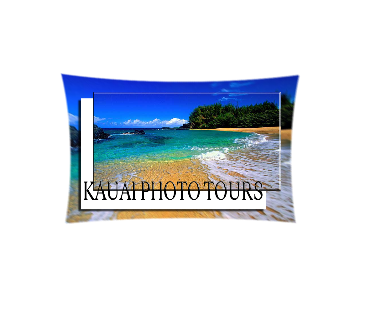 Logo Design by braduta55 for this project | Design #3487207