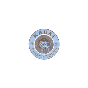 Logo Design by David King
