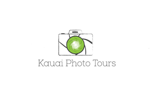 Logo Design by Gentle Spring Rain for this project | Design: #3477600