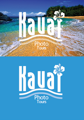 Logo Design by aminaburloiu7 for this project | Design: #3490014