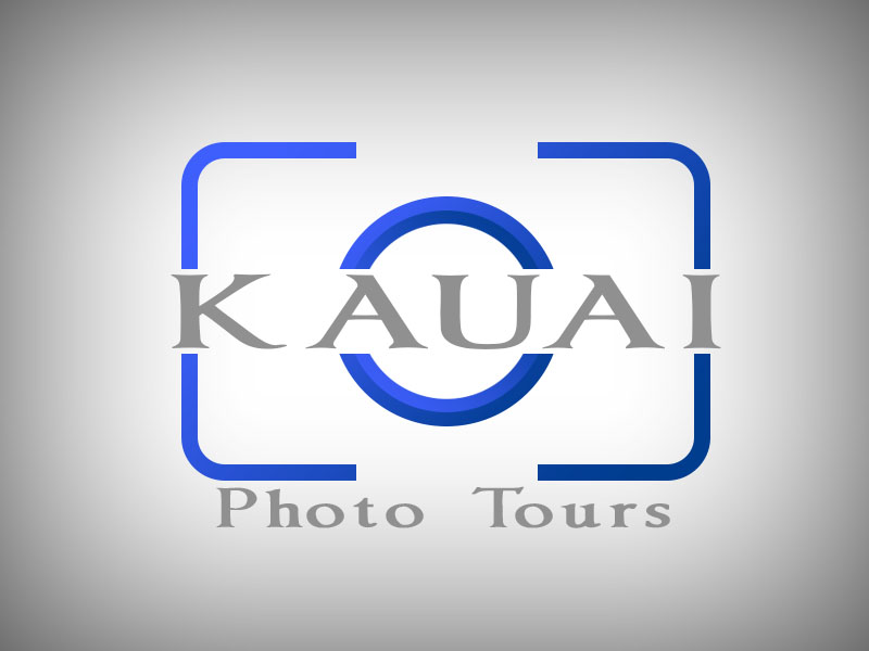 Logo Design by Jahangir Noor for this project | Design #3476116