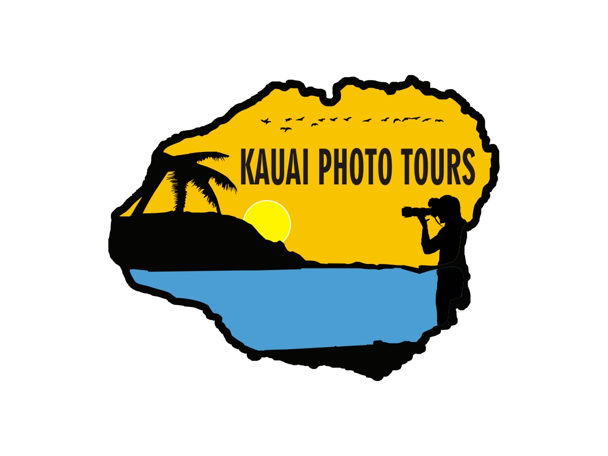 Logo Design by chinar for this project | Design #3571562