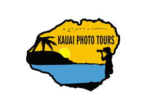 Logo Design by chinar