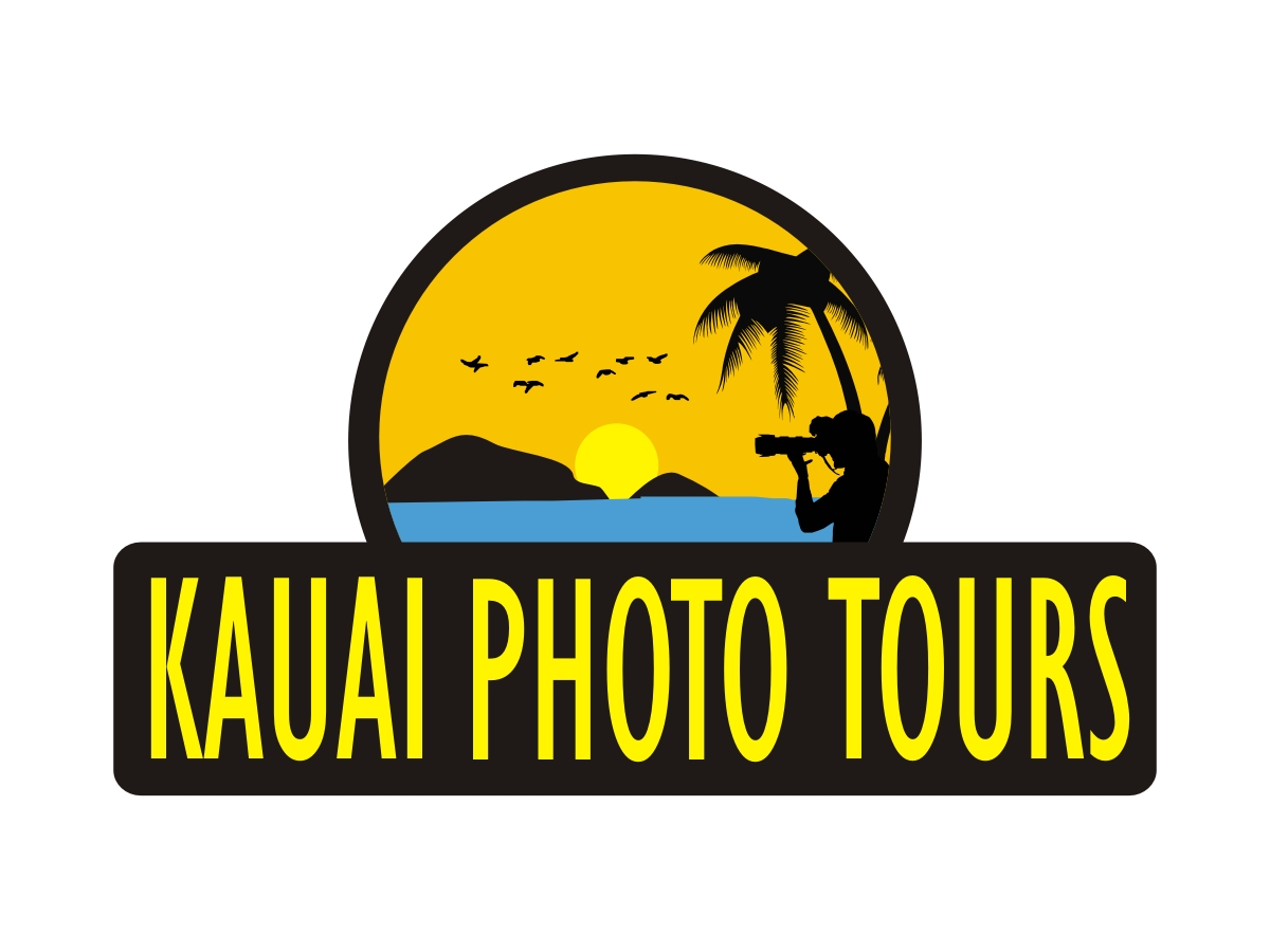 Logo Design by chinar for this project | Design #3571563