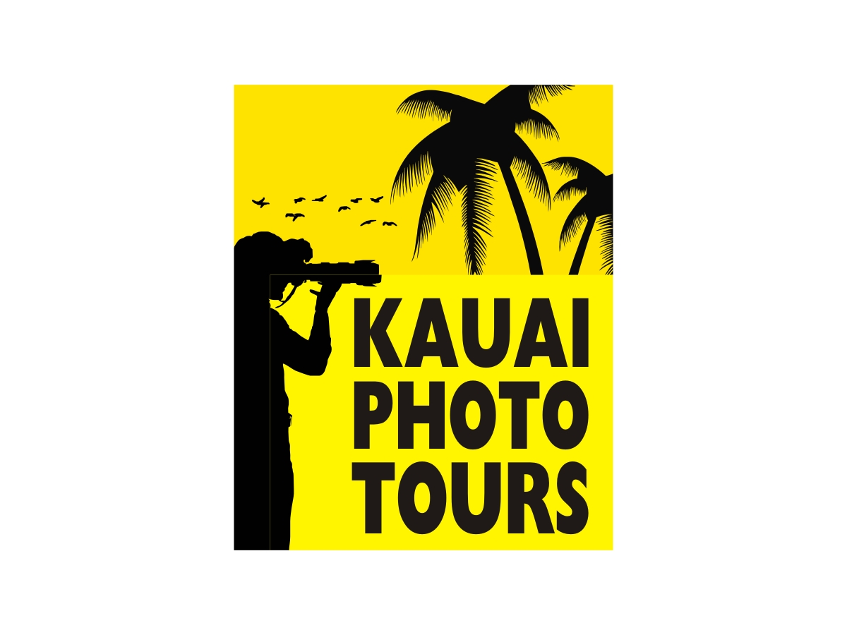 Logo Design by chinar for this project | Design #3571565