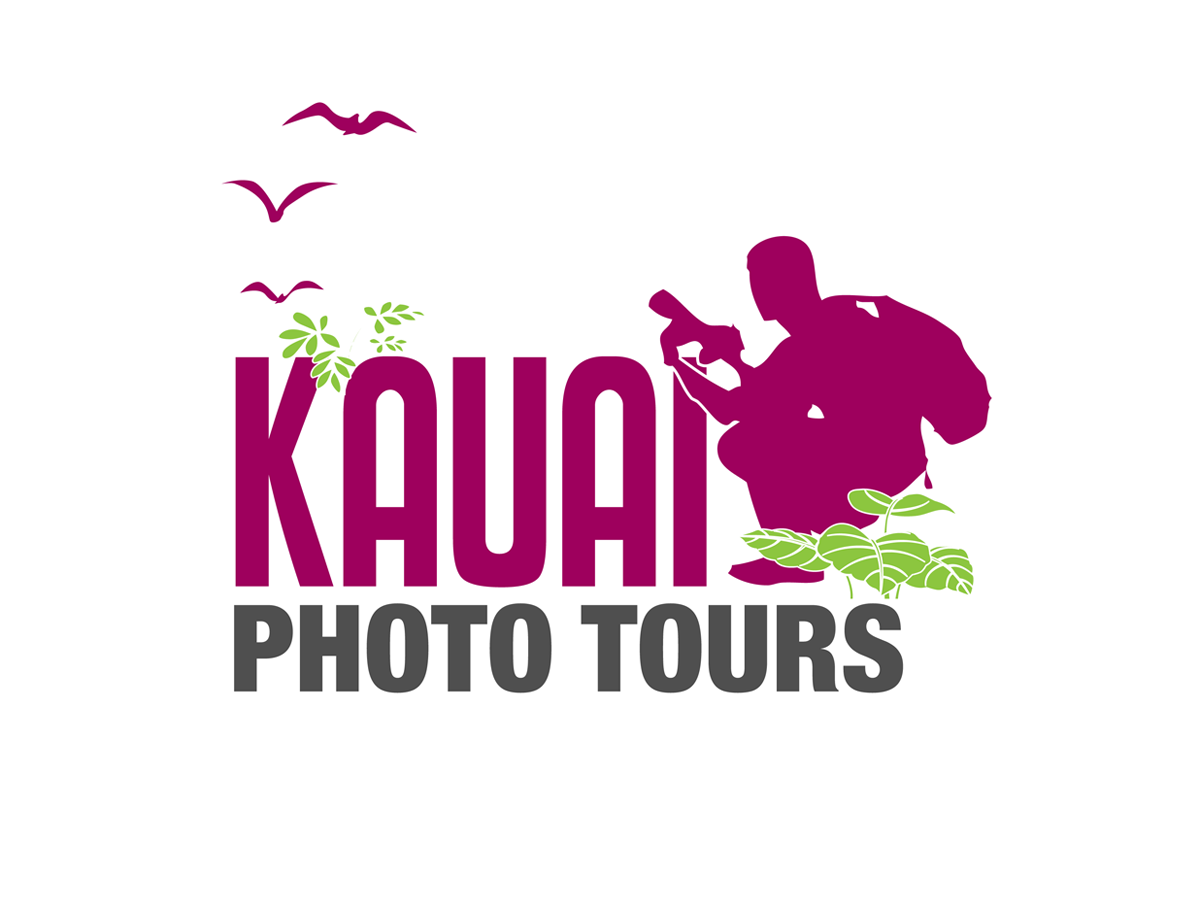 Logo Design by Billsav for this project | Design #3497796