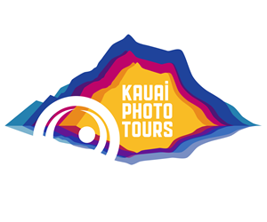 Logo Design by DOA