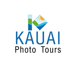 Logo Design by mmalon for this project | Design: #3479123