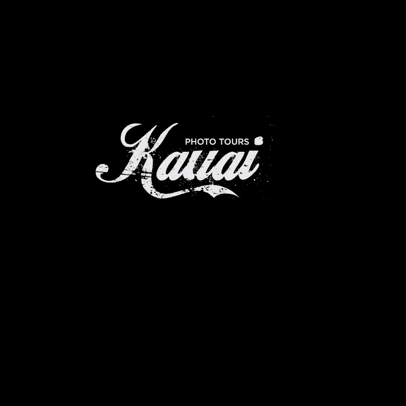 Diseño de Logo por Lancer para este proyecto | Diseño #3473769