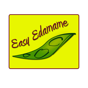 Logo Design by vid