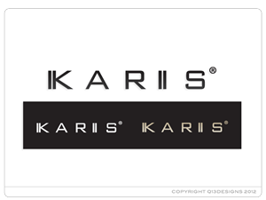 Logo Design by Suzie Q - Q13Designs.com for this project | Design: #890178