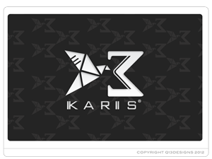 Logo Design by Suzie Q - Q13Designs.com for this project | Design: #890184