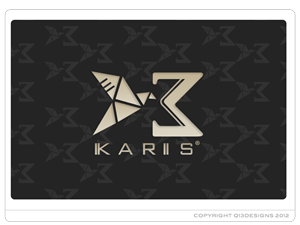 Logo Design by Suzie Q - Q13Designs.com for this project | Design: #890186