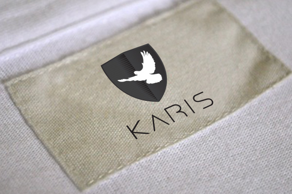 Design de Logo par Brizza pour ce projet | Design #917376