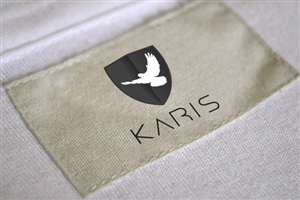 Design de Logo par Brizza pour ce projet | Design : #917376