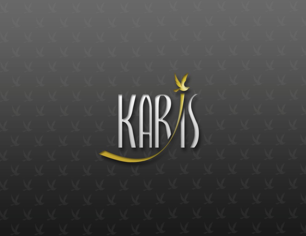 Logo Design by Luis Carlos R. Castro for this project | Design #892819