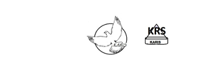 Logo Design by alpha logo rockers