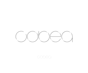 Logo Design by Parallaxe