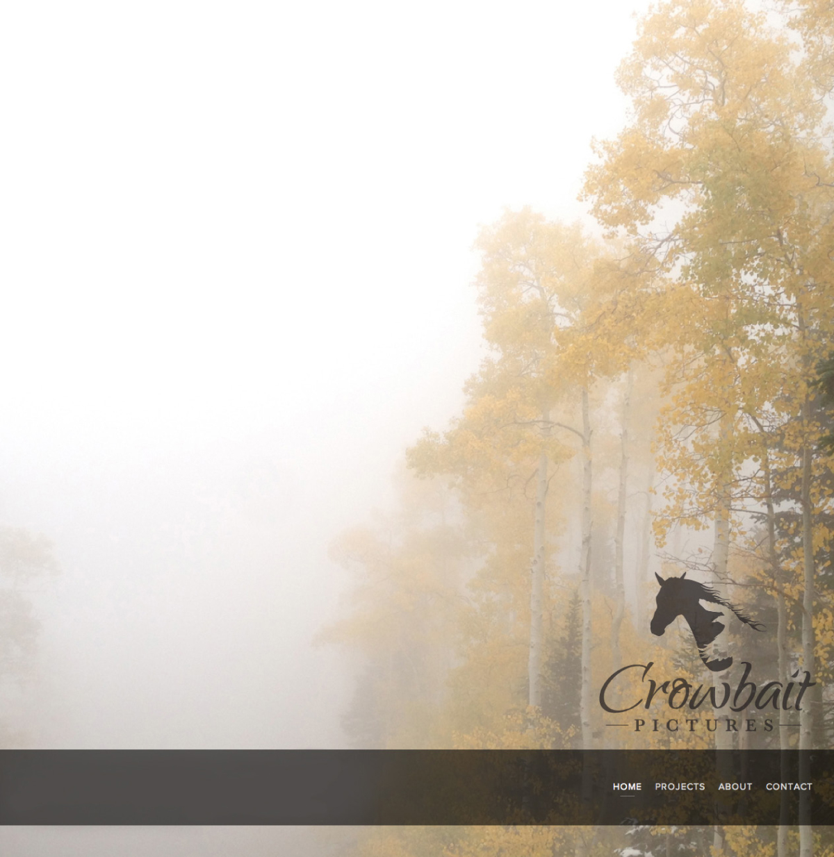 Design de Logo par PND pour Crowbait Pictures | Design #3520904