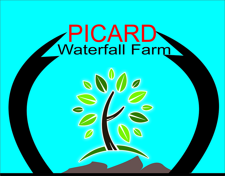 Logo Design by sandun fernando for Picard Waterfall Farm (non commercial) | Design #3486057