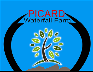 Logo Design by sandun fernando